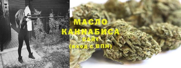 гидропоника Медногорск
