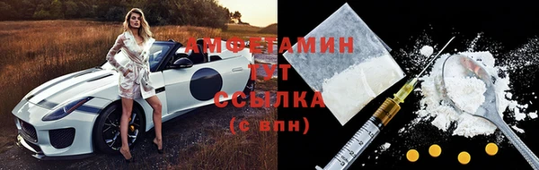 твердый Михайлов