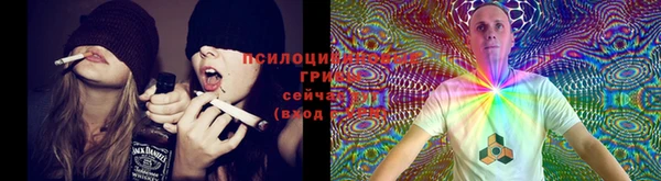 mdma Медвежьегорск
