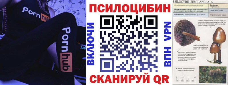 купить  цена  MEGA ТОР  Псилоцибиновые грибы мицелий  Чекалин 
